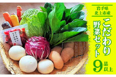 こだわり 野菜セット（9品以上） うるおい春夏秋冬 岩手県 北上市 C0493 国産 産地直送 旬野菜 なす にんじん キャベツ レタス 季節の野菜 西洋野菜  紫人参 黄色人参 丸なす 水なす 小なす 長なす とうがらし 伏見とうがらし カラフル 野菜
