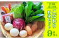 使いやすいおなじみの野菜から、西洋野菜やハーブまで彩り豊かで鮮度抜群な野菜をお届けします！