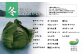 冬12～2月のお届け内容（一例です、記載以外の野菜が入る場合もございます）