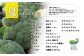夏6～8月のお届け内容（一例です、記載以外の野菜が入る場合もございます）