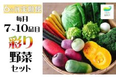 【 6ヶ月 定期便 】シェフ御用達！ 農園自慢 ★ 彩り 野菜セット（ 7品 目以上～）旬 野菜 詰め合わせ 定期 シェフ御用達 国産 岩手 うるおい春夏秋冬 岩手県 北上市 J0076 季節の野菜 西洋野菜 紫人参 黄色人参 丸なす 水なす 長なす とうがらし カラフル 野菜 産地直送 送料無料