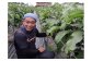 野菜愛にあふれる高橋さん！手作業で管理しています