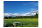 北上川付近の肥沃な土地に広大な農園で育っています。