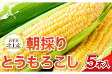 【予約受付 2025年7月中旬頃～発送開始予定】北上産のとうもろこし ５本 北上産のとうもろこし きみ コーン 野菜 国産 岩手県 東北 夏野菜 展勝地 岩手 北上市 A0239 展勝地レストハウス