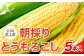 朝採りの甘～い「とうもろこし」をそのまま直送します🌽　5本入り！