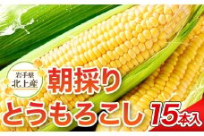 【予約受付 2025年7月中旬頃～発送開始予定】北上産のとうもろこし 15本 きみ コーン 野菜 国産 岩手県 東北 夏野菜 展勝地 岩手 北上市 D0286 展勝地レストハウス