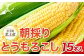 朝採りの甘～いとうもろこしをそのまま直送！