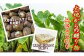 地元の特産品「二子さといも」をぜひご賞味ください♬