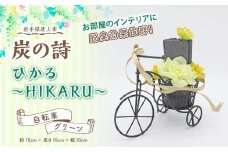 【炭の詩】ひかる~HIKARU~（自転車/グリーン）
