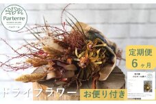 【定期便 / 6ヶ月】 ドライフラワー の 定期便