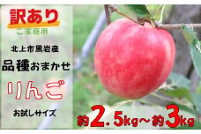 訳あり りんご  約 2.5kg ～約 3kg　( 品種おまかせ ）季節のりんご 旬のりんご リンゴ お試し 家庭用  品種 おまかせ サンフジ ジョナゴールド 早生ふじ シナノゴールド 岩手県 北上市 B0402