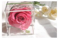 プリザーブドフラワー バラ一輪(りん)　リザーブド 薔薇 ばら シンプル インテリア  ギフト 贈り物 母の日 誕生日 クリスマス フラワーギフト あとりえヒロ 岩手県 北上市 C0433