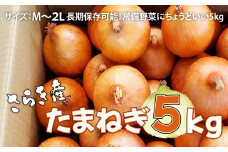 予約受付 たまねぎ 5kg さらき産【2025年7月発送開始】 岩手県 北上市 B0363 令和7年産 国産 玉ねぎ 玉葱 カレー シチュー  新鮮 フレッシュ オニオン サラダ BBQ 焼肉 野菜 Mサイズ Ⅼサイズ 2Ⅼサイズ 株式会社さらき