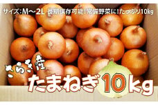 予約受付 たまねぎ 10kg さらき産【2025年7月発送開始】 岩手県 北上市 C0447 令和7年産 国産 玉ねぎ 玉葱 カレー シチュー  新鮮 フレッシュ オニオン サラダ BBQ 焼肉 野菜 Mサイズ Ⅼサイズ 2Ⅼサイズ 