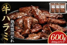 やまなか家　旨みたっぷり牛ハラミ【熟成醤油だれ】600g(K2-028)   牛ハラミ 牛カルビ 豚カルビ 牛ホルモン たれ タレ 詰合せ 岩手県 北上市 D0500 （KYフーズ）牛肉 BBQ 焼肉セット