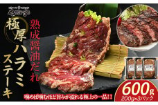 プレミアム極厚ハラミステーキ【熟成醤油だれ】600g(K2-026)   牛ハラミ 牛カルビ 豚カルビ 牛ホルモン たれ タレ 詰合せ 岩手県 北上市 D0502 （KYフーズ）牛肉 BBQ 焼肉セット