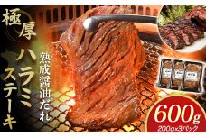 プレミアム極厚ハラミステーキ【熟成醤油だれ】600g(K2-026)   牛ハラミ 牛カルビ 豚カルビ 牛ホルモン たれ タレ 詰合せ 岩手県 北上市 D0502 （KYフーズ）牛肉 BBQ 焼肉セット