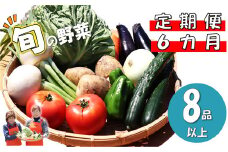 定期便 6ヶ月 旬の野菜セット B 岩手県 北上市 J0095 野菜 やさい 詰め合わせ 旬の野菜 詰合わせ セット 山菜 サンサイ さんさい 常備 常備野菜 家庭応援 新鮮 産直 産地直売所