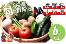 【定期便 6ヶ月】  旬の野菜セットA 《６品以上》岩手県 北上市 I0089 野菜 やさい 詰め合わせ 旬の野菜 詰合わせ セット 山菜 サンサイ さんさい 常備 常備野菜 家庭応援 新鮮 産直 産地直売所