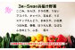 お届け野菜は一例です。収穫状況により異なります。野菜の指定はできません。