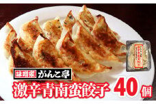 手作り 餃子 『激辛』青南蛮餃子 40個 たれ付 ラーメン 屋が作る 手作り餃子 岩手 味噌屋がんこ亭 岩手県 北上市 D0366 冷凍 豚肉 ギョーザ おかず 総菜 おつまみ 中華 お取り寄せ 焼き餃子 タレ付き 地産地消 ※12/25までの決済で 年内発送 可能