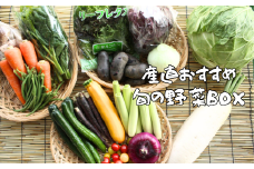 【11月発送】産直あぜみち 旬の野菜ボックス 産直 新鮮野菜 野菜セット 厳選 やさい フレッシュ 詰め合せ 国産 季節 旬 おまかせ 産地直送 春野菜 夏野菜 秋野菜  根菜 冷蔵  岩手県産 北上産 季節限定  【毎月6セット限定】あぜみち 岩手県 北上市 B0238