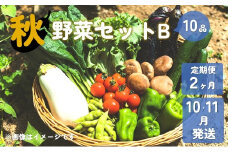 【予約受付/2025年10・11月発送】秋 野菜 セット B ( 10品 )  【 2ヶ月 定期便 】