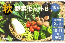 【予約受付/2025年10・11月発送】秋 野菜 セット B ( 10品 )  【 2ヶ月 定期便 】
