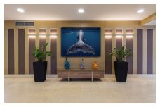 水中写真家 高橋怜子 全倍写真パネル 高橋怜子 海の絶景  ジオグラフィック写真コンテスト  ナショナルジオグラフィック 総合グランプリ受賞 壁掛け フォト インテリア Reiko Takahashi photography 海 写真作品 水中 世界 海洋 写真ギフト 写真パネル プレゼント
 岩手県 北上市 Y0038