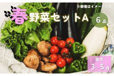 【予約受付/2025年3月発送開始】春野菜セットA 6品 以上 季節 旬 春 野菜 詰め合せ 国産 おまかせ 産地直送 葉物 果菜 根菜 冷蔵 ダイエット 食 岩手県産 北上産 季節限定 数量限定 タラの芽 うど うるい アスパラガス 人参 菜花 つぼみ菜 ほうれん草 小松菜 チンゲン菜 長ねぎ レタス リーフレタス 水菜 ブロッコリー きゅうり ベビーリーフ 送料無料 岩手県 北上市 A0342