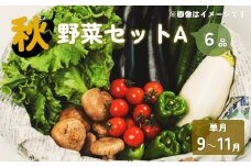【予約受付/2025年9月発送開始】秋 野菜セット A 6品 以上 季節 旬 国産 秋野菜 きのこ 葉物  果菜 根菜 冷蔵 野菜室 岩手県産 北上産 季節限定 瓜 じゃが芋 里芋 長芋 大根 キャベツ ピーマン カリフラワー ブロッコリー 白菜 長ネギ ほうれん草 小松菜 山東菜 レタス リーフレタス ししとう かぶ  玉ねぎ しょうが 送料無料 岩手県 北上市 A0344