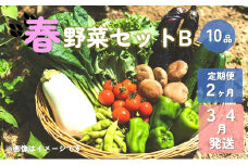【予約受付/2025年3・4月発送】春野菜セットB 10品 以上【 2ヶ月 定期便 】 季節 旬 春 野菜 葉物 果菜 根菜 冷蔵 野菜室 ダイエット 食 栄養食 加工品 岩手県産 北上産 季節限定 稀少 数量限定 タラの うど こごみ うるい アスパラガス カラー 人参 菜花 ほうれん草 小松菜 チンゲン菜 長ねぎ レタス リーフレタス 水菜 ブロッコリー きゅうり ベビーリーフ