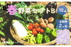 【予約受付/2025年4・5月発送】春野菜セットB 10品 以上【 2ヶ月 定期便 】 季節 旬 春 野菜 葉物 果菜 根菜 冷蔵 野菜室 ダイエット 食 栄養食 加工品 岩手県産 北上産 季節限定 稀少 数量限定 タラの芽 うど こごみ うるい アスパラガス カラー 人参 菜花 ほうれん草 小松菜 チンゲン菜 長ねぎ レタス リーフレタス 水菜 ブロッコリー きゅうり ベビーリーフ