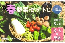 【予約受付/2025年3月発送開始】春野菜セットC 10品 以上【 3ヶ月 定期便 】 季節 旬 春 野菜 詰め合せ 国産 おまかせ 定期 産地直送 葉物 根菜 冷蔵 岩手県産 北上産 季節限定 タラの芽 うど うるい アスパラガス 人参 菜花 つぼみ菜 ほうれん草 小松菜 チンゲン菜 長ねぎ レタス リーフレタス 水菜 ブロッコリー きゅうり ベビーリーフ 送料無料 岩手県 北上市 H0133
