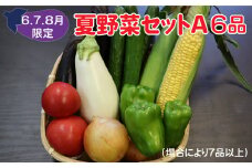 【予約受付/2025年6月発送開始】夏野菜セットA 6品 以上 季節 旬 夏 野菜 岩手県 北上市 A0343 葉物 果菜 根菜 冷蔵 野菜室 ダイエット 食 加工品 季節限定 稀少 数量限定 とうもろこし ヤングコーン ブロッコリー レタス ズッキーニ ケール ブルーベリー きゅうり ミニ トマト ピーマン 玉ねぎ 大根 インゲン オクラ つるむらさき 枝豆 モロヘイヤ ししとう なす