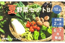 【予約受付/2025年産】夏野菜セットB (10品)【 2ヶ月 定期便 】 6・7月発送