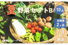 【予約受付/2025年産】夏野菜セットB (10品)【 2ヶ月 定期便 】 7・8月発送
