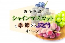  岩手県産 ぶどう 4パック Aセット フルーツ ブドウ 葡萄 アソート 詰め合わせ おすそ分け 果物