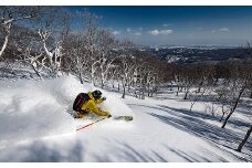 夏油高原 スキー場 早割リフト 20時間券 5枚セット リフト券 時間券 期間限定 スキー リフト チケット  観光 アクティビティ 旅行 スノーボード ウィンタースポーツ レジャー岩手県 北上市 U0070