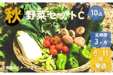 【予約受付/2025年9月発送開始】秋野菜セットC 10品 以上 【3ヶ月定期便】 季節 旬 秋野菜 きのこ 葉物 根菜 冷蔵 野菜室 ダイエット 食 栄養食 加工品 岩手県産 北上産 季節限定 稀少 数量限定 瓜 じゃが芋 里芋 長芋 大根 キャベツ ピーマン カリフラワー ブロッコリー 白菜 長ネギ ほうれん草 小松菜 リーフ レタス ししとう かぶ 玉ねぎ しょうが しいたけ