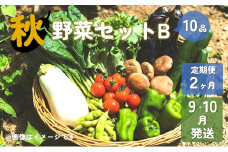 【予約受付/2025年9・10月発送】秋 野菜 セット B (10品) 【2ヶ月定期便】