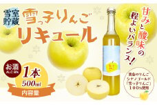 雪っ子 りんご リキュール 500ml 1本 [ 数量限定 ] 展勝地 オリジナル 国産 雪っこりんご使用 林檎 リンゴ お酒 アルコール度 8％ 岩手県 北上市 C0500 桜の名所 展勝地レストハウス 
