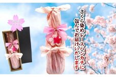 さくら染めラッピング仕様 米焼酎 Kokokara 720ｍl (1本)  岩手県 北上市 E0237 焼酎 米焼酎 お酒 25度 720ml 限定 ハンカチ ひざ掛け 米 焼酎 ご当地 家飲み 宅飲み 晩酌 乾杯 贈答品 ギフト お土産 母の日 父の日 誕生日 お歳暮 お中元 クリスマス プレゼント 農業支援 農家支援 岩手県産 北上産 ひとめぼれ 鹿児島 大崎町 天星酒造 コラボ品