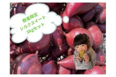【 予約受付 2025年産 】 厳選 さつまいも シルクスイート 3kg 国産 サツマイモ さつま芋 秋 野菜 岩手県 北上市 齋藤 智仁 B0400 産地直送 ※令和7年9月下旬より発送開始予定