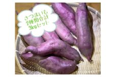 【 予約受付 2025年産 】 さつまいも 2種類 3kg　（ シルクスイート 、 パープルスイート 、 ハロウィンスイート 、 紅あずま 、 紅はるか 、 安納芋 、 鳴門金時 等から 2品種 詰め合わせ ） 国産 サツマイモ セット さつま芋 野菜  岩手県 北上市 齋藤 智仁 B0399 産地直送 ※令和7年9月下旬より発送開始予定