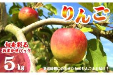 【北上市産 りんご 】旬を彩るおまかせパック【 厳選 / 贈答用 】 5キロ (約13～20玉)  林檎 リンゴ 国産 東北 岩手 産地直送 フルーツ 果物 岩手県 北上市 D0452 手土産 プレゼント 贈り物 季節限定  ＼今なら決済から5営業日ほどで発送可能／