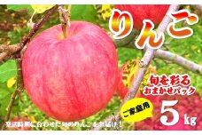  ＼予約受付 9月上旬より発送開始予定／【北上市産 りんご 】旬を彩るおまかせパック 【 家庭用 】 5キロ (約13～20玉) 林檎 リンゴ 5kg 国産 東北 岩手 産地直送 送料無料 訳あり フルーツ 果物 岩手県 北上市 C0522 金鈴園 ふるさと納税 限定 季節限定 秋 冬
