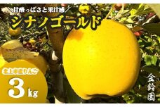 【 北上市産 りんご 】 シナノゴールド 【 贈答用 】 3キロ セット (約8～12玉)   国産 リンゴ りんご 3kg 果物 フルーツ 産地直送 送料無料 新鮮 岩手県 北上市 C0521 ＼今なら決済から5営業日ほどで発送可能／