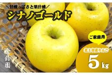 ＼予約受付 10月下旬以降順次発送予定 ／【北上市産】 シナノゴールド  5キロ 【 家庭用 】 セット (約13～20玉)  国産 東北 岩手 林檎 リンゴ 5kg 訳あり 果物 フルーツ しなの ゴールド 産地直送 送料無料 旬 秋 冬 金鈴園 岩手県 北上市 C0520 
