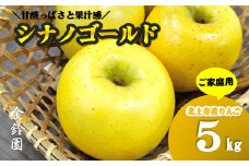 ＼予約受付 10月下旬以降順次発送予定 ／【北上市産】 シナノゴールド  5キロ 【 家庭用 】 セット (約13～20玉)  国産 東北 岩手 林檎 リンゴ 5kg 訳あり 果物 フルーツ しなの ゴールド 産地直送 送料無料 旬 秋 冬 金鈴園 岩手県 北上市 C0520 